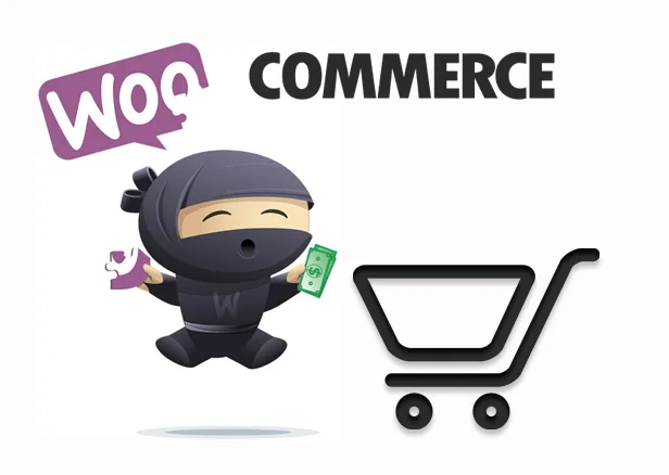 μαθηματα woocommerce